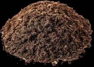 Soil