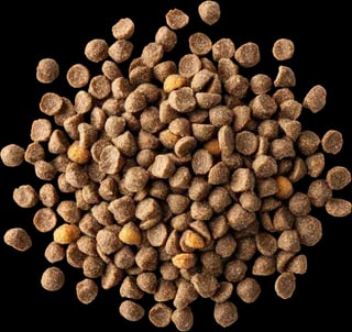 Kibble