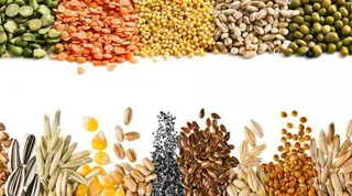 Fillers And Product Handling
