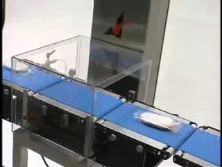Checkweigher - Model PW/12