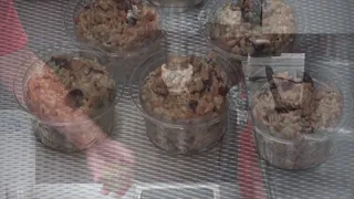 Test: Grain Salad