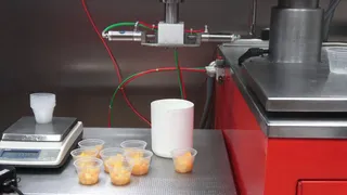 Test: Peaches