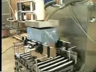 Fill-To-Weight Auger Filler - Model BS/600