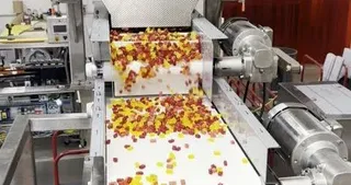Vibratory Filler/Belt Feeder