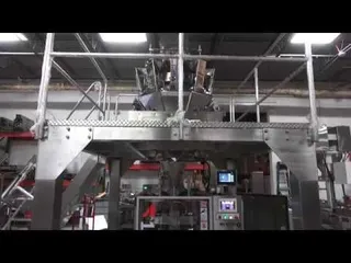 VFFS Bagger - Model A/1200