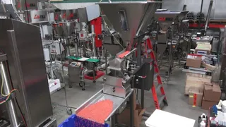 Vibratory Filler - Model VF100/HD