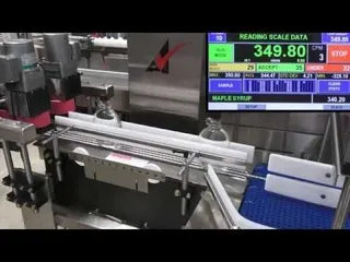 Checkweigher - Model CW/10