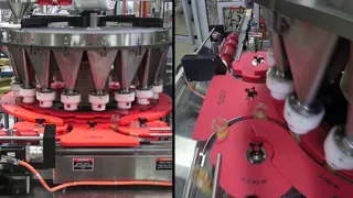 High-Speed Rotary Auger Filler - Model R/181