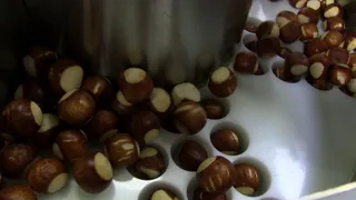 Cup Filler - Model: PF/Series