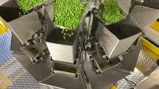 VFFS Bagger - Model A/1200