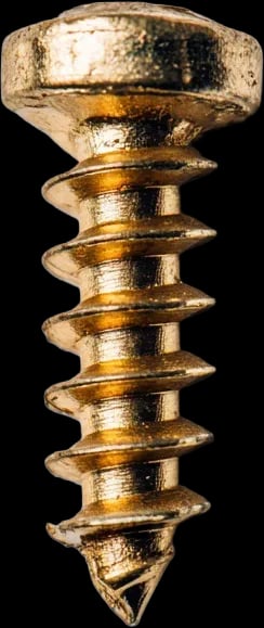 Screw