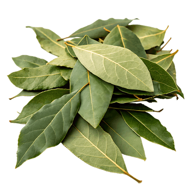 Bay Leaves