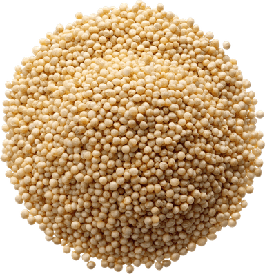 Quinoa
