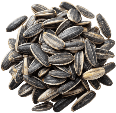 Sunflower Seeds