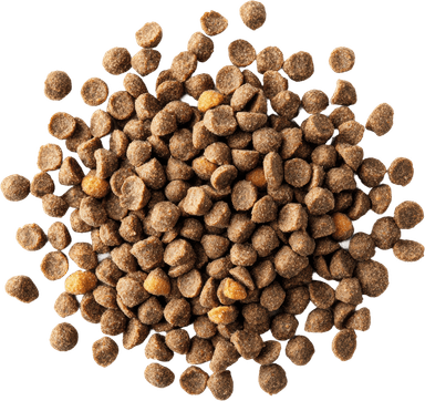 Kibble