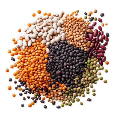 Lentils
