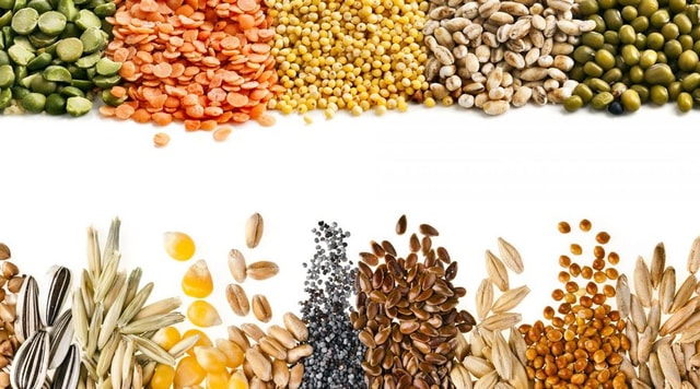 Fillers And Product Handling