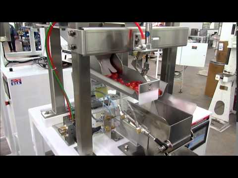 Vibratory Filler - Model VF100/HD