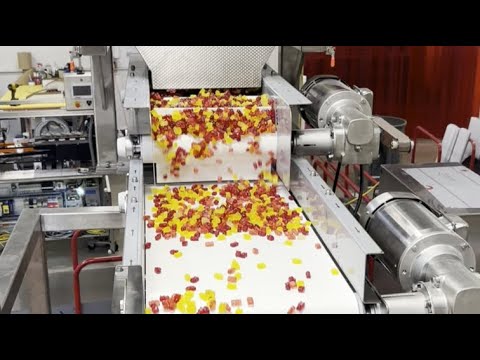 Vibratory Filler/Belt Feeder
