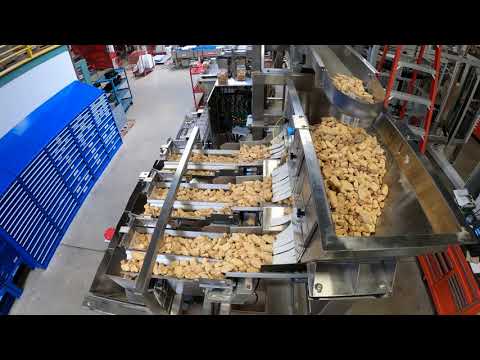 Vibratory Filler - ST/Series