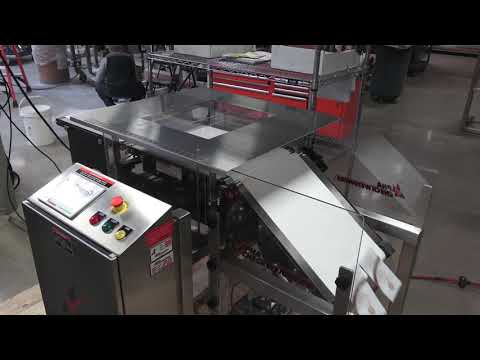 Checkweigher - Model PW/12