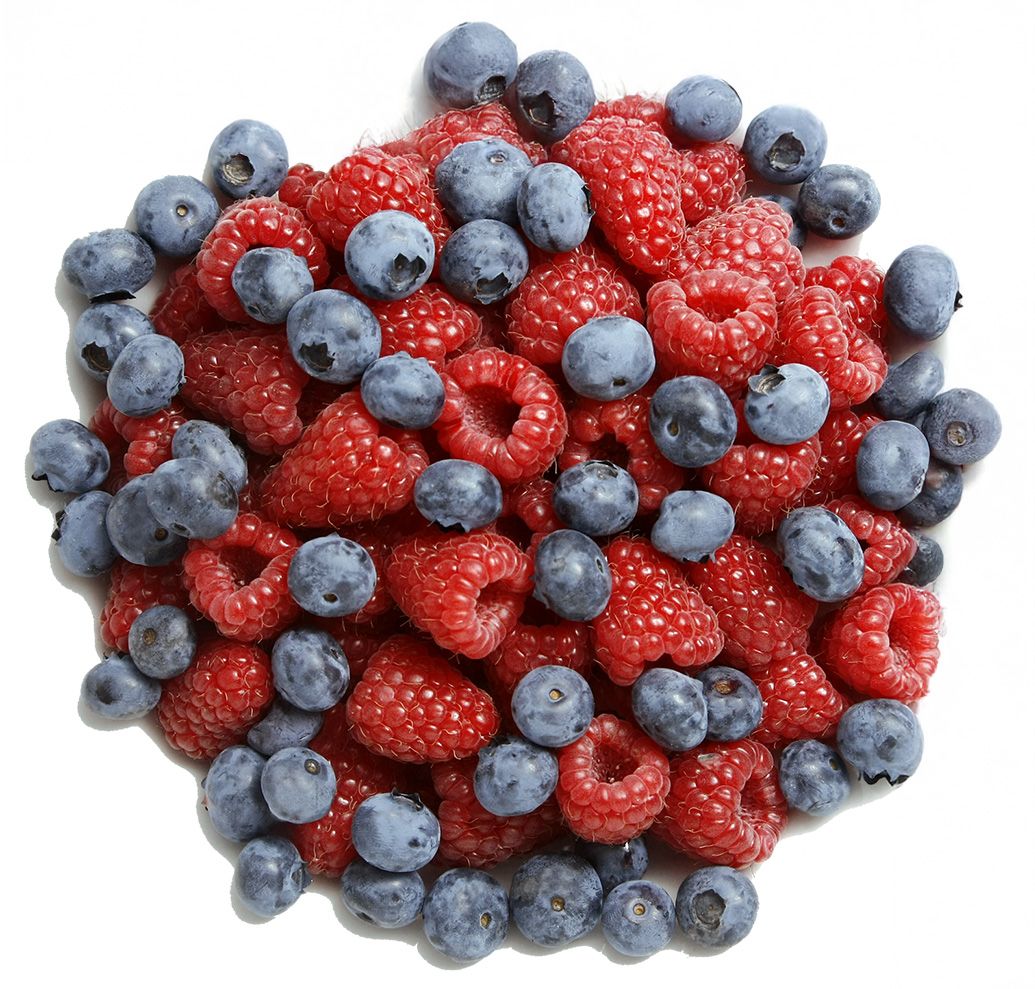Fresh Frozen